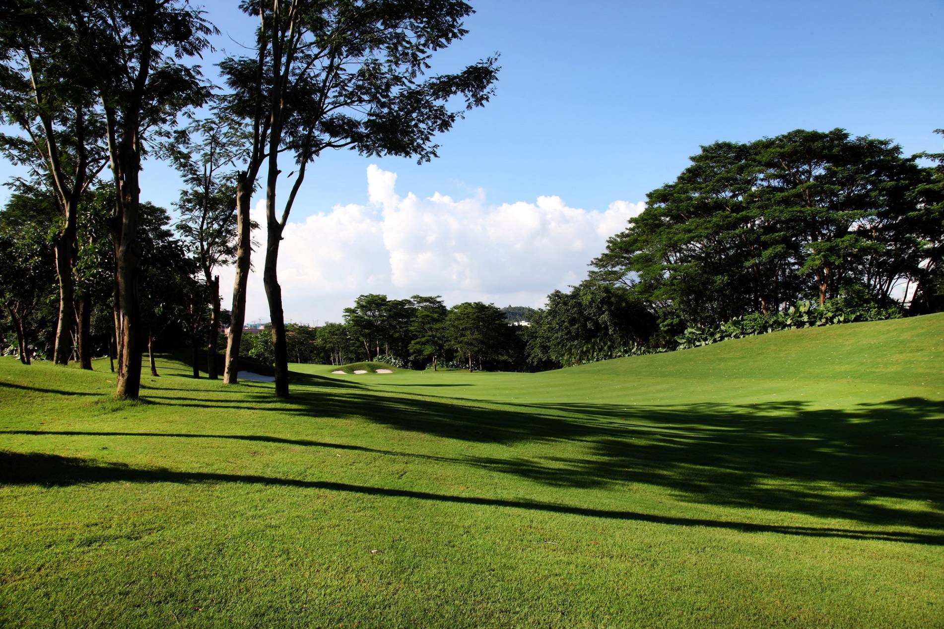 利记平台-德国足协践行绿色环保理念，推广可持续发展