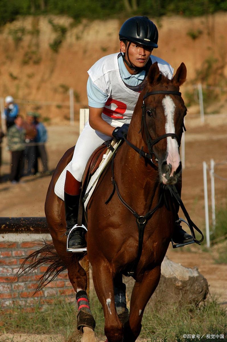 西班牙马术选手驭马飞行，尽显风采