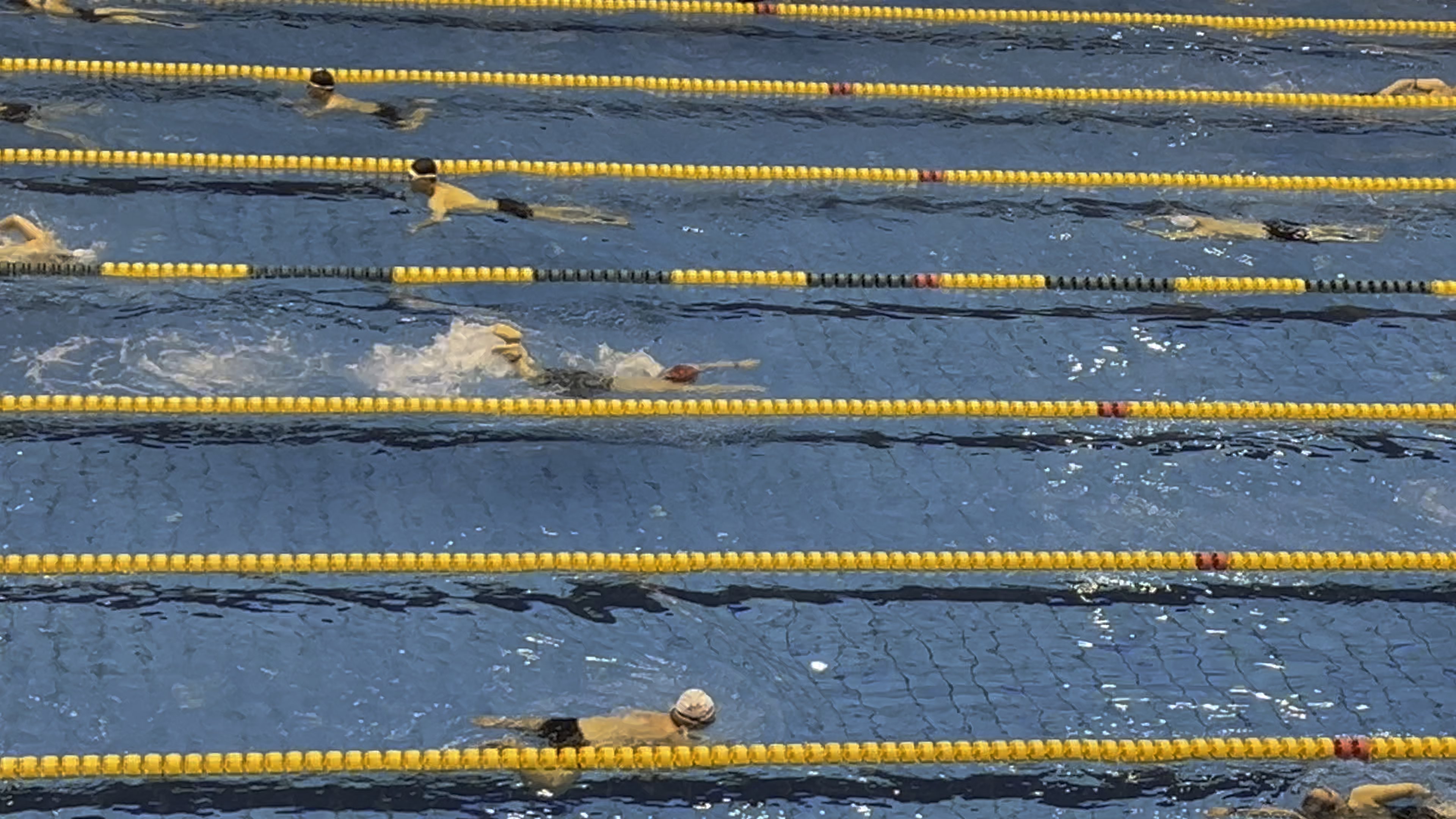 利记官网-澳大利亚选手刷新纪录，游泳项目再创佳绩