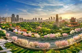 福建海峡罗宁再战中超，闯出新天地