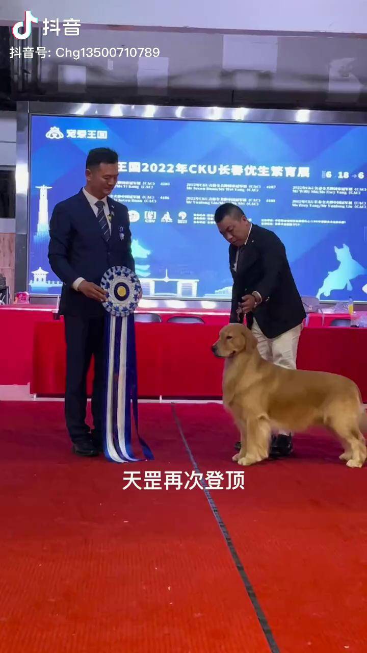 利记官网-意大利代表团在跳水比赛中再次登顶领奖台