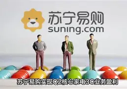 利记平台-惊心动魄！苏宁易购迎战水原三星的精彩对决