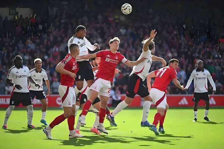 利记官方网站-摩纳哥客场击败梅斯,豪取三分